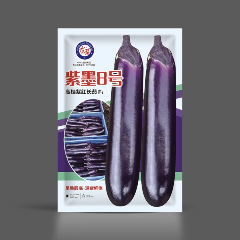 紫墨8号紫红长茄种子早熟座果多单果约300-400克左右