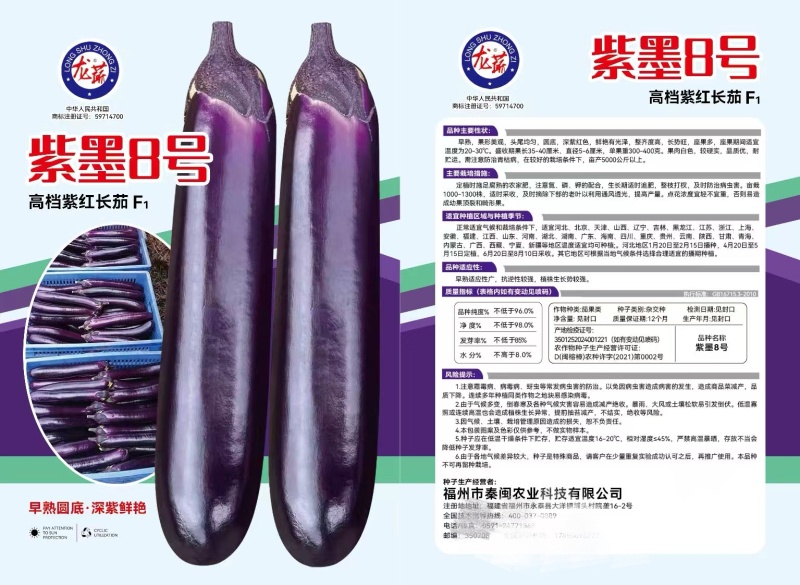 紫墨8号紫红长茄种子早熟座果多单果约300-400克左右