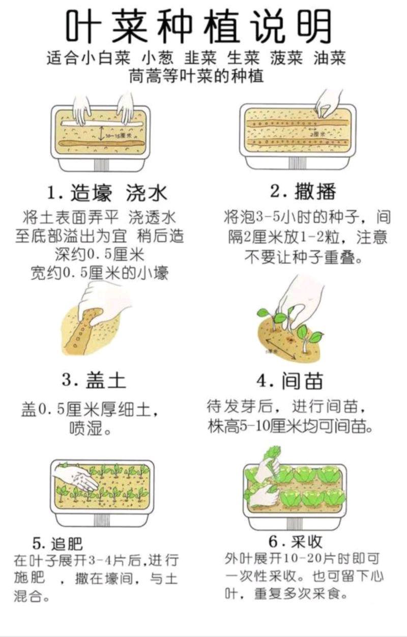 紫墨8号紫红长茄种子早熟座果多单果约300-400克左右