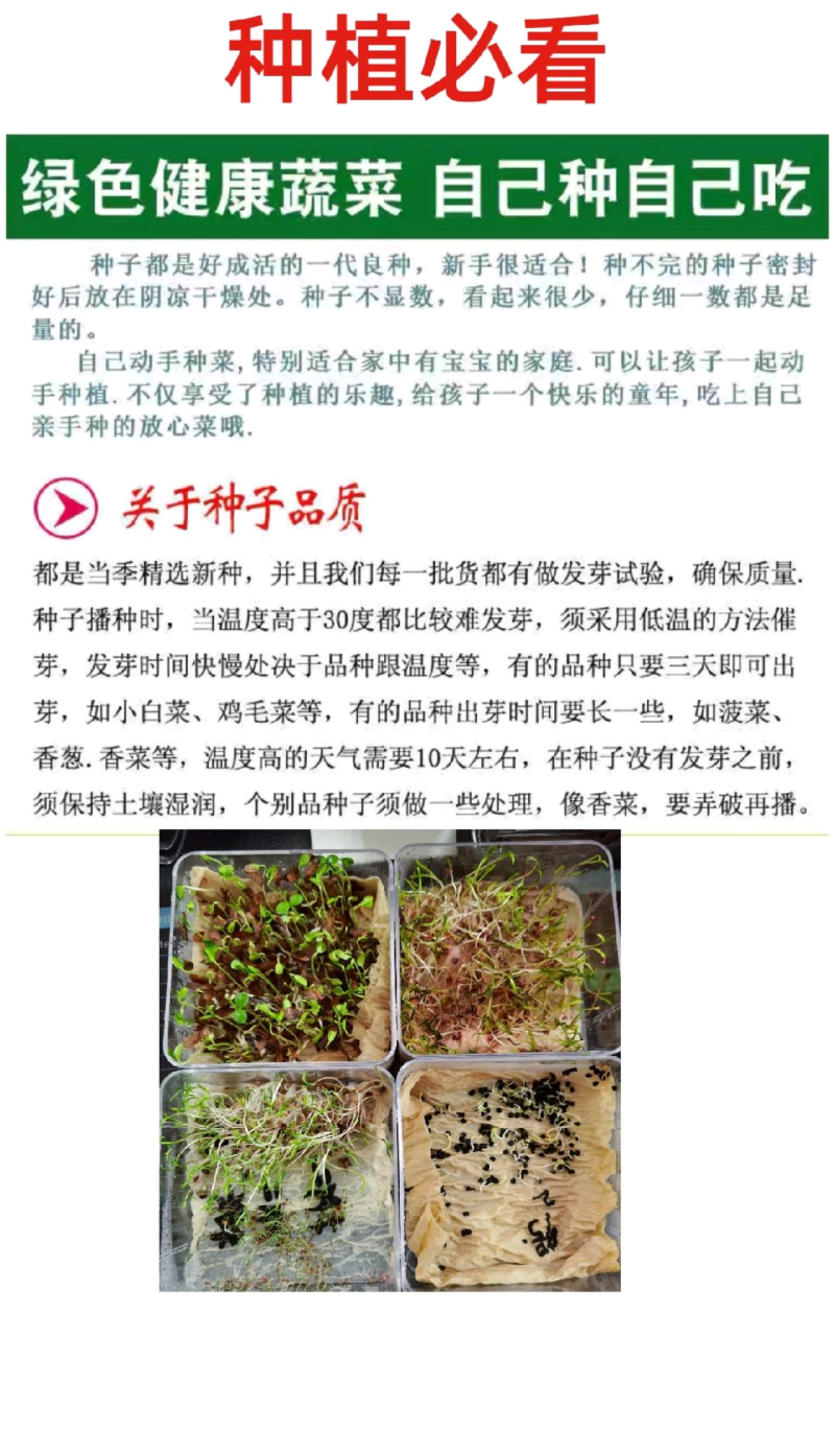 紫墨8号紫红长茄种子早熟座果多单果约300-400克左右