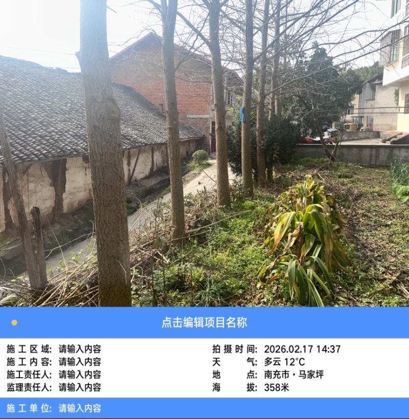 银古树