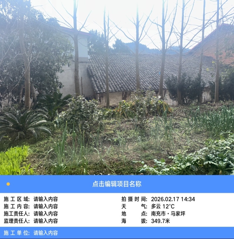 银古树
