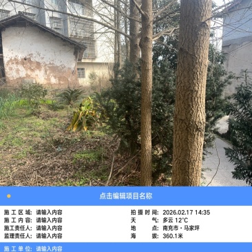 银古树
