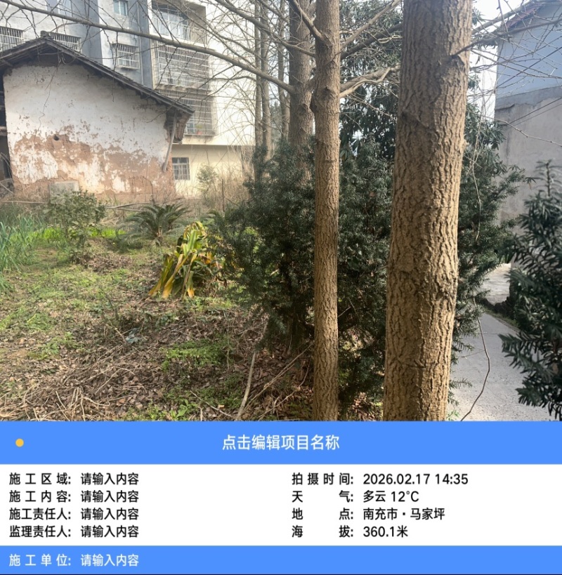 银古树