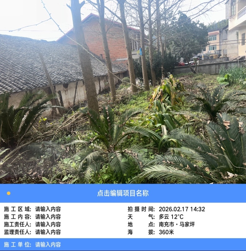 银古树