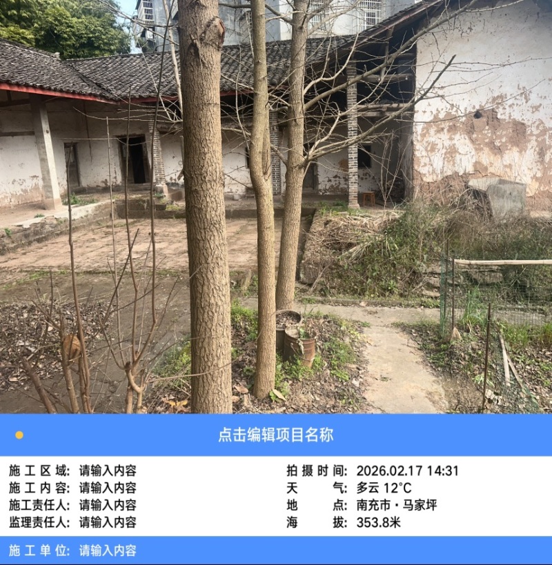银古树