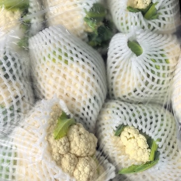 芹菜辣椒甘蓝