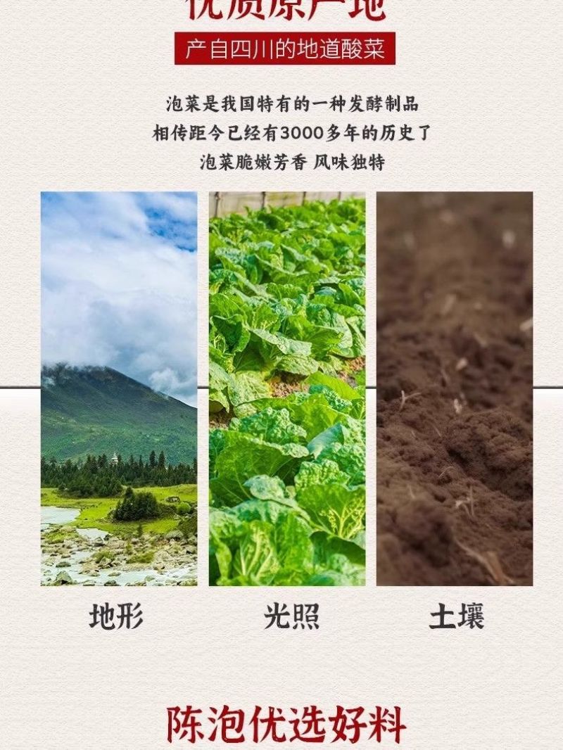 蜀新源四川大泡菜2.5kg*6整箱餐饮商用大包装老坛泡菜