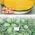 黄瓤礼品西瓜种子大棚露地均可种植口感好皮薄
