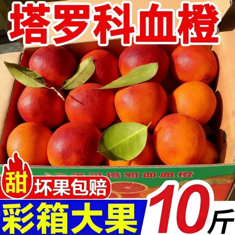 血橙3斤5斤9斤拼多多抖音视频号一件代发