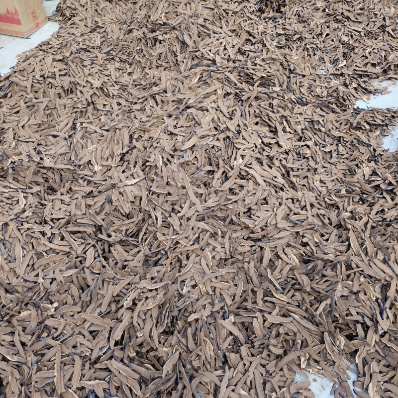 批发出售黑灵芝片