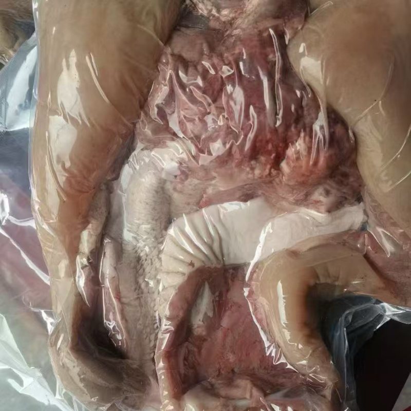 精修牛头肉