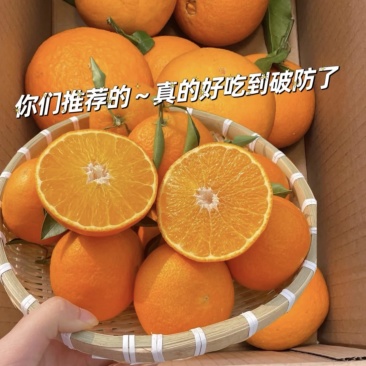 爱媛果冻橙🍊爱媛38号产地直发品质保障汁多味美对接全国