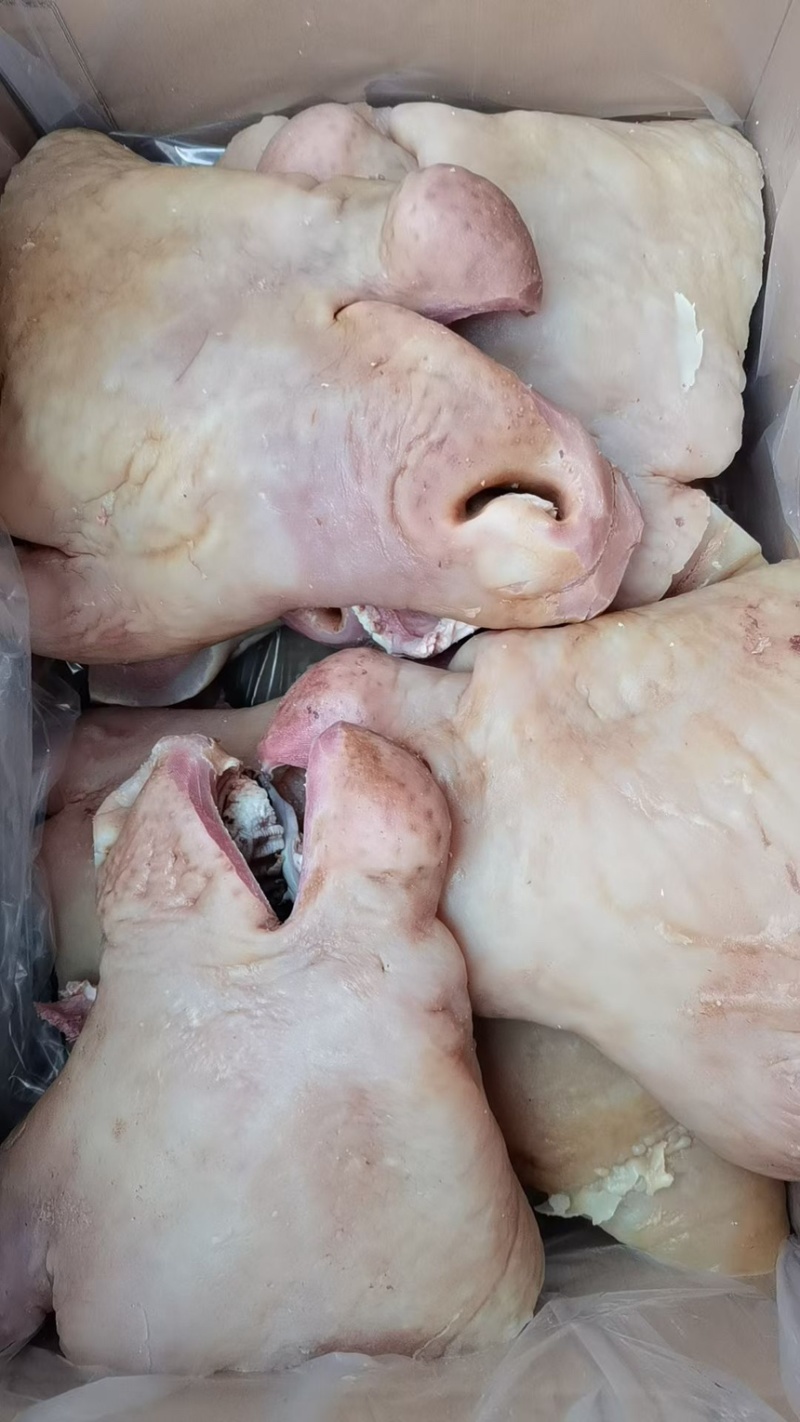 精修牛头肉