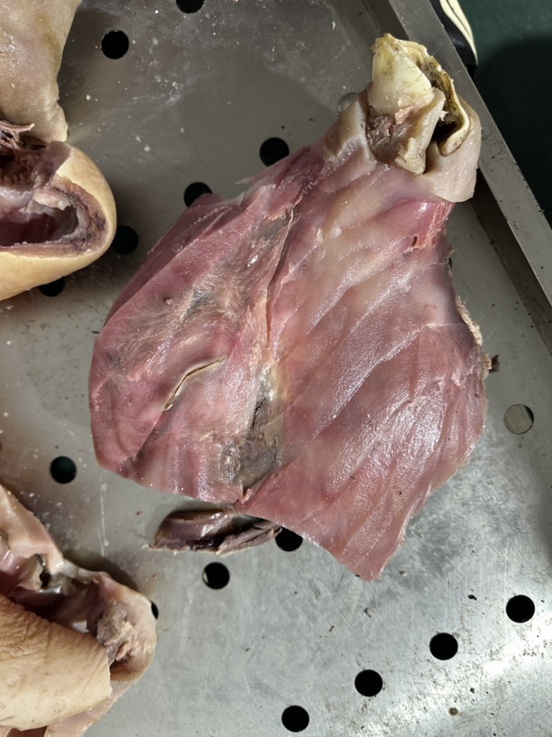 精修牛头肉