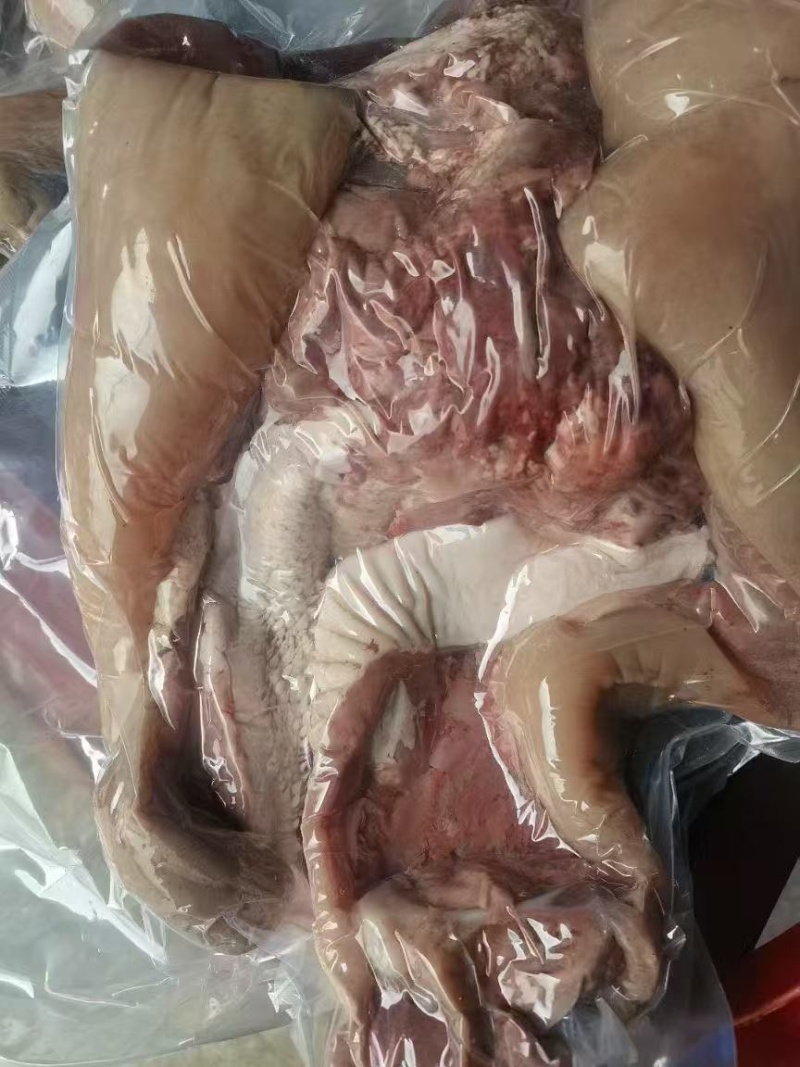 精修牛头肉
