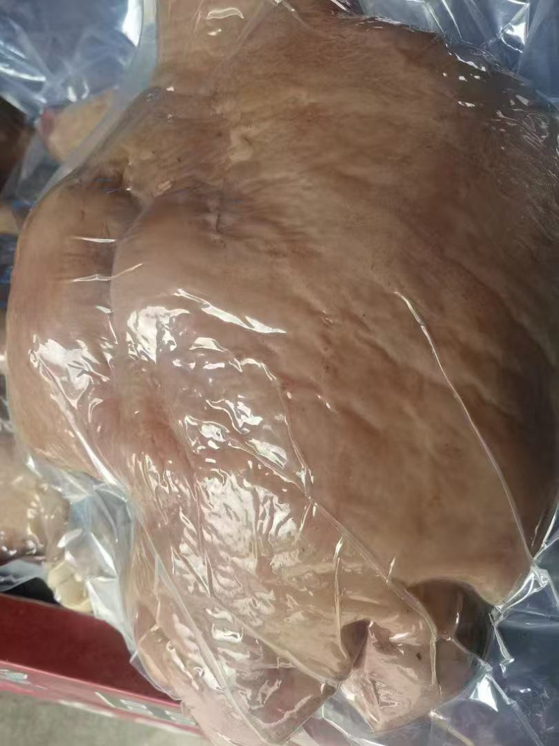 精修牛头肉