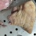 精修牛头肉