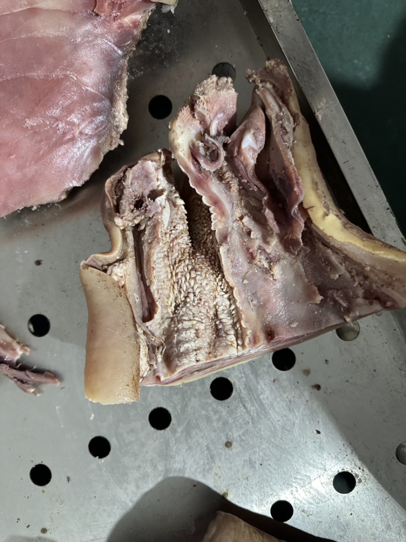 精修牛头肉