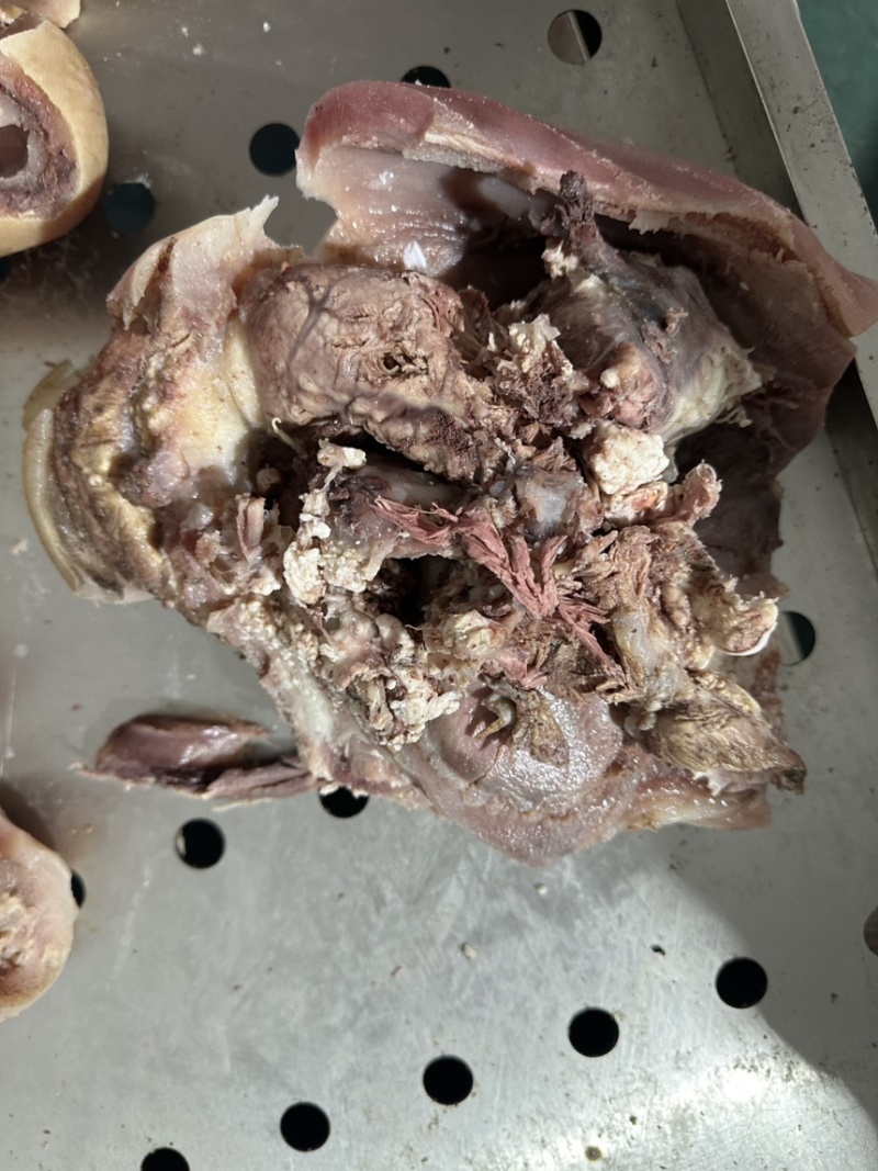 精修牛头肉