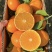爱媛果冻橙🍊爱媛38号产地直发品质保障汁多味美对接全国