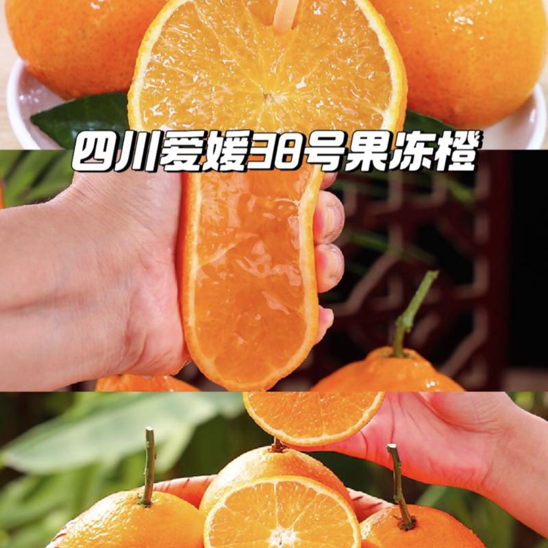 【实力推荐】四川爱媛38号果冻橙产地直发量大从优可视频