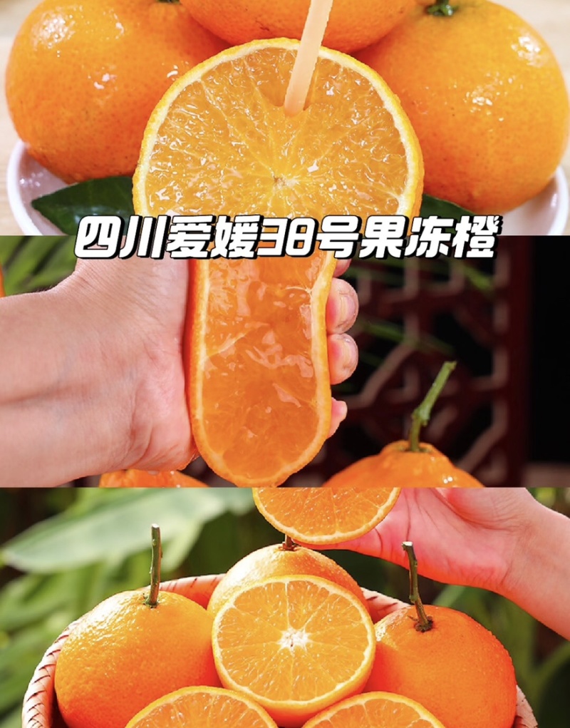 【实力推荐】四川爱媛38号果冻橙产地直发量大从优可视频