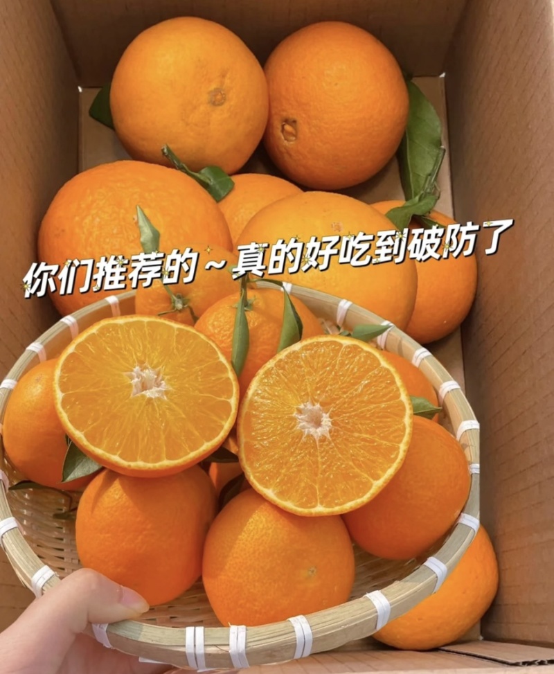 【实力推荐】四川爱媛38号果冻橙产地直发量大从优可视频