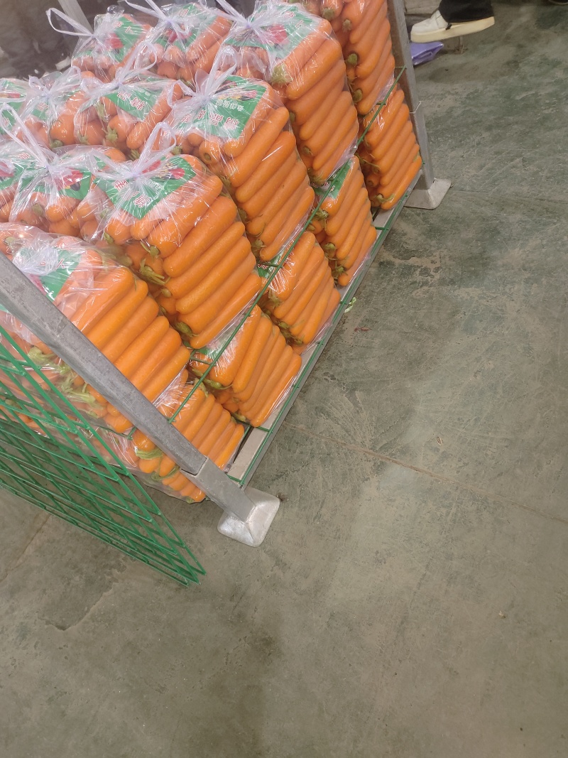精品红萝卜，货源充足质量保证各种规格齐全。