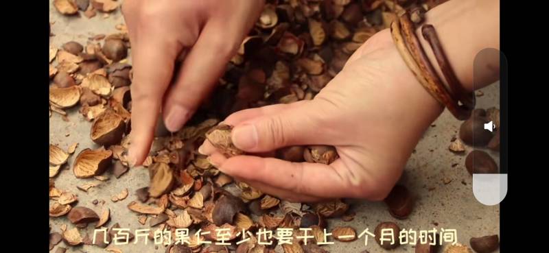 湖南省怀化市山茶油