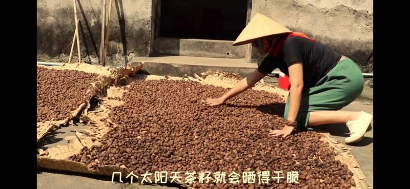 湖南省怀化市山茶油