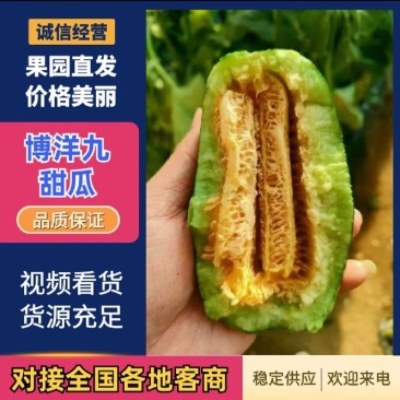 【实力商家】产地直发【质量上乘】诚信经营【量大从优】博九