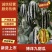 【实力商家】产地直发【质量上乘】诚信经营【量大从优】博九