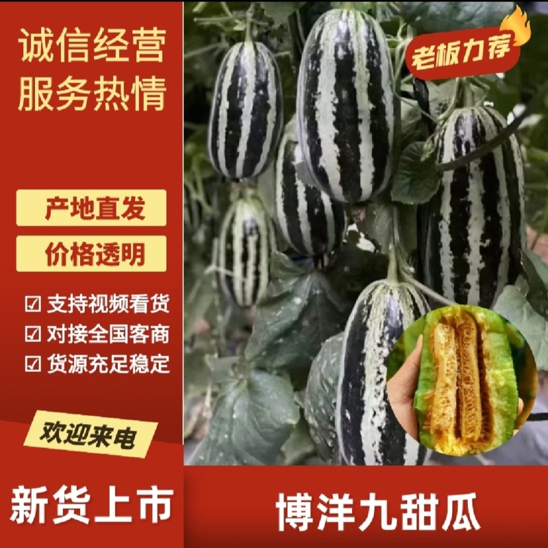 【实力商家】产地直发【质量上乘】诚信经营【量大从优】博九