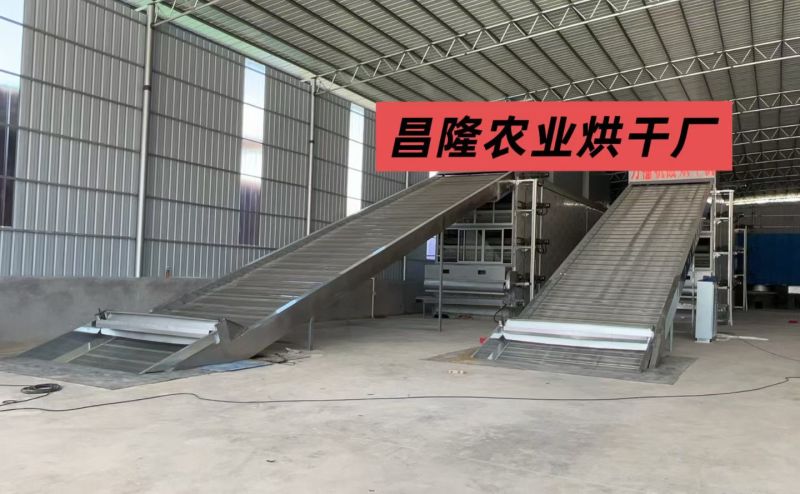 烘干沙姜