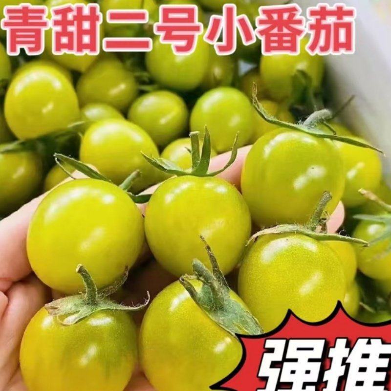 青甜2号圣女果，口感脆甜，颜值高，质量保证，视频实地看货