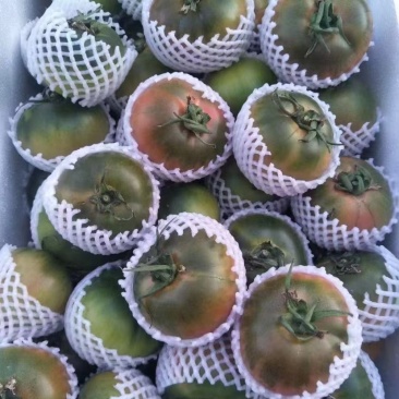 盘锦碱地柿子批发
