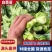 白菜苔湖北菜苔产地直发品质保证对接全国商超市场