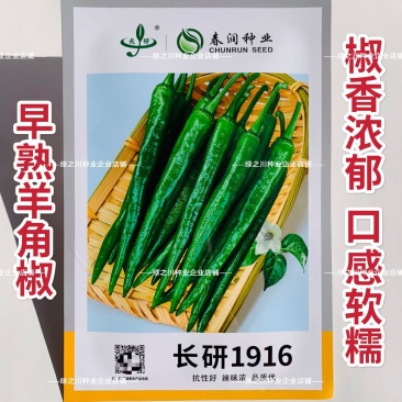 口感软糯辣椒种子长研1916羊角椒种子辣味浓香早熟丰产
