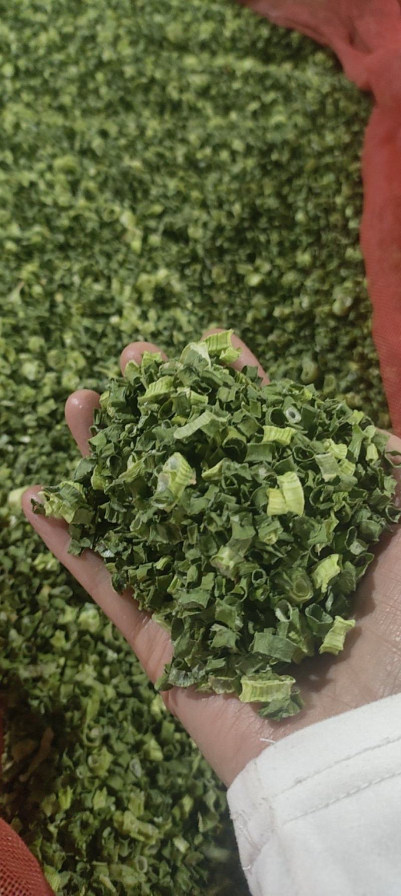 小米香葱现货云南大小米葱葱管葱叶脱水蔬菜干批发小米葱