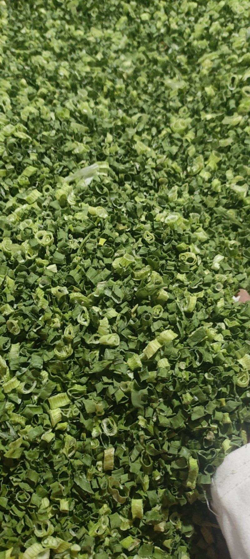 小米香葱现货云南大小米葱葱管葱叶脱水蔬菜干批发小米葱