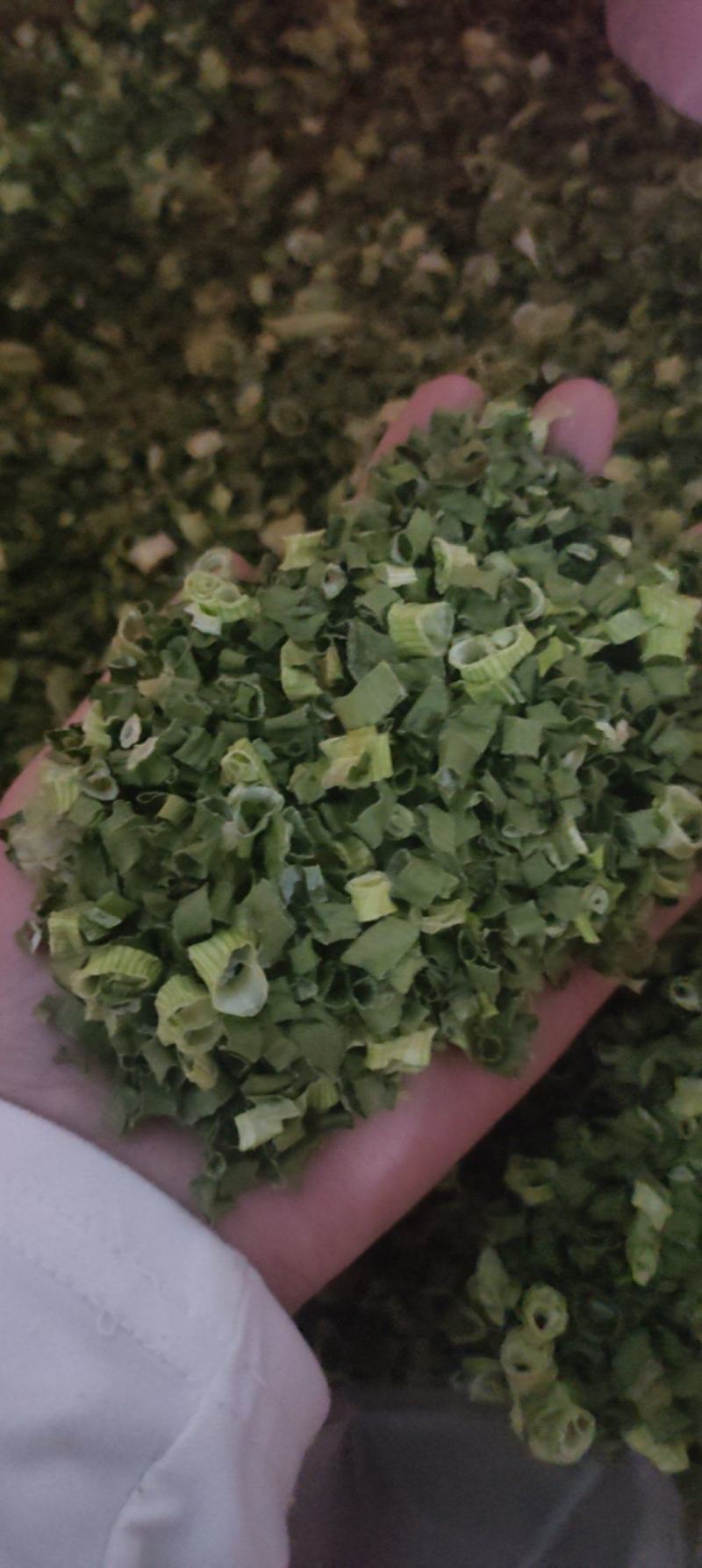 小米香葱现货云南大小米葱葱管葱叶脱水蔬菜干批发小米葱
