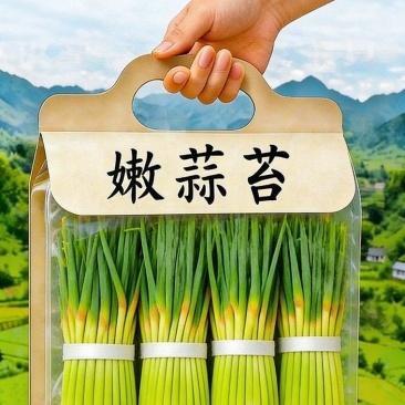 精品白帽，红帽蒜苔，对接各大批发市场及大型超市，一手货源