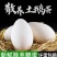 农家散养鹅蛋