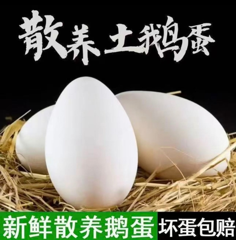 农家散养鹅蛋