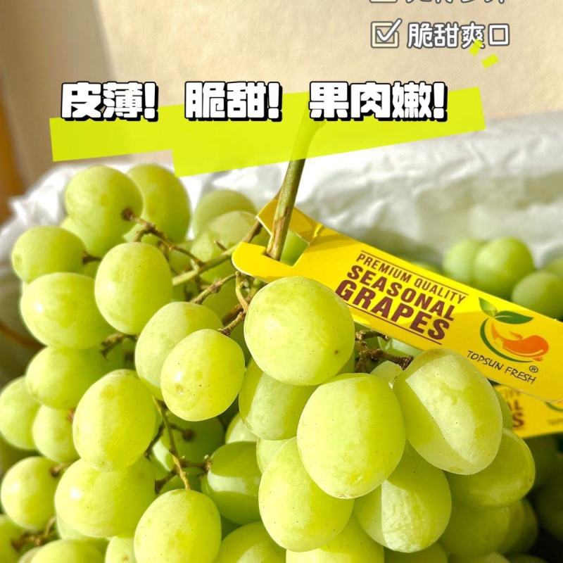 实力推荐青提河北青提一手货源货量充足全国发货