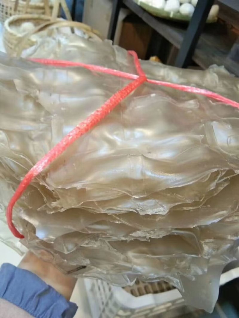 渣江和折皮