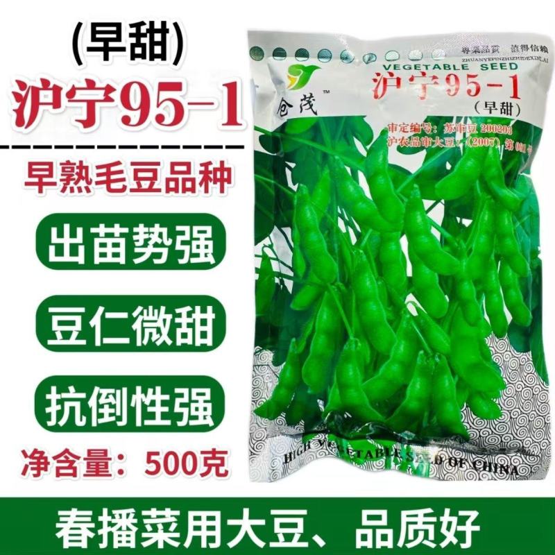 沪宁95-1早熟毛豆种子特早鲜食大粒毛豆高产大青豆蔬菜种
