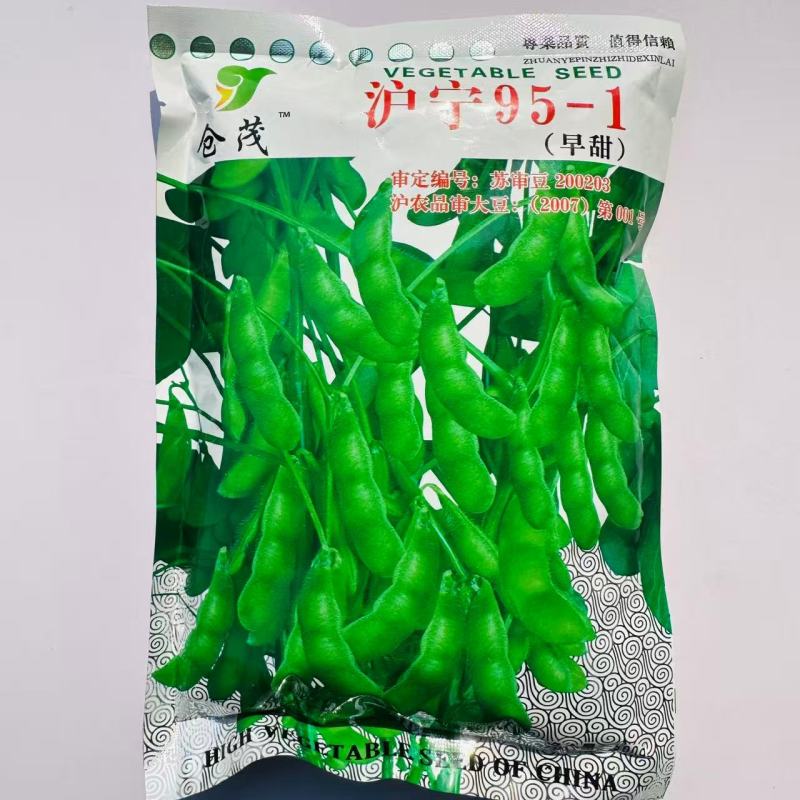沪宁95-1早熟毛豆种子特早鲜食大粒毛豆高产大青豆蔬菜种