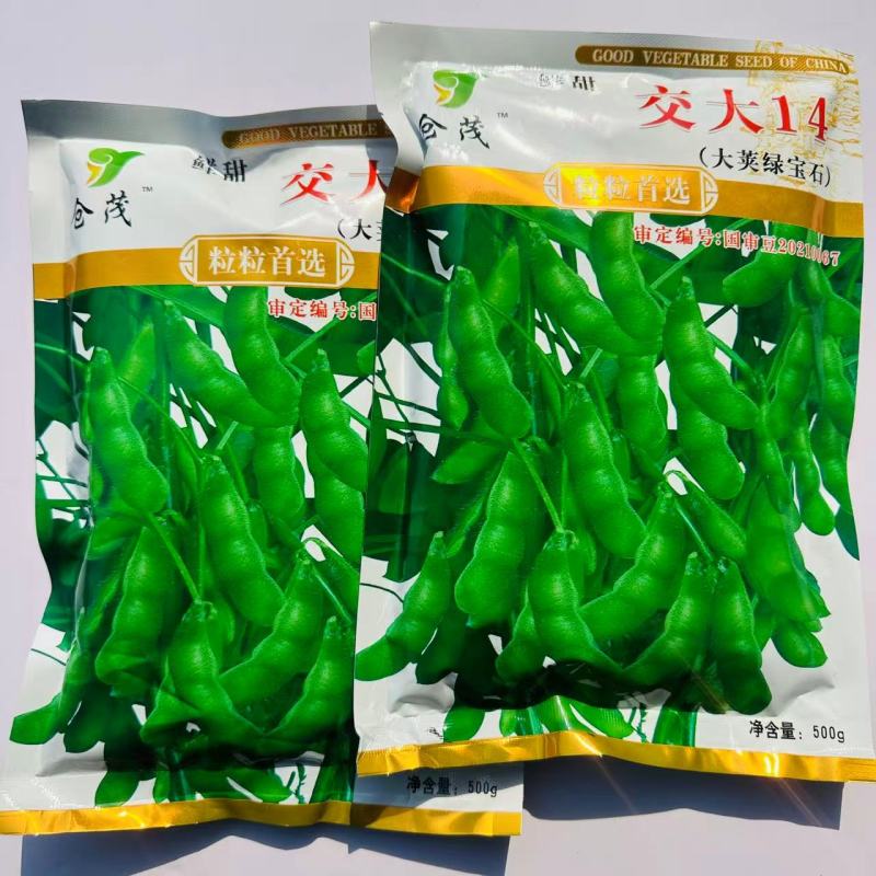 交大14鲜食毛豆种子口感甜糯大荚绿宝石大粒高产抗病商品性